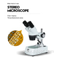 Professional WF10x/20mm Student Electronic Microscope